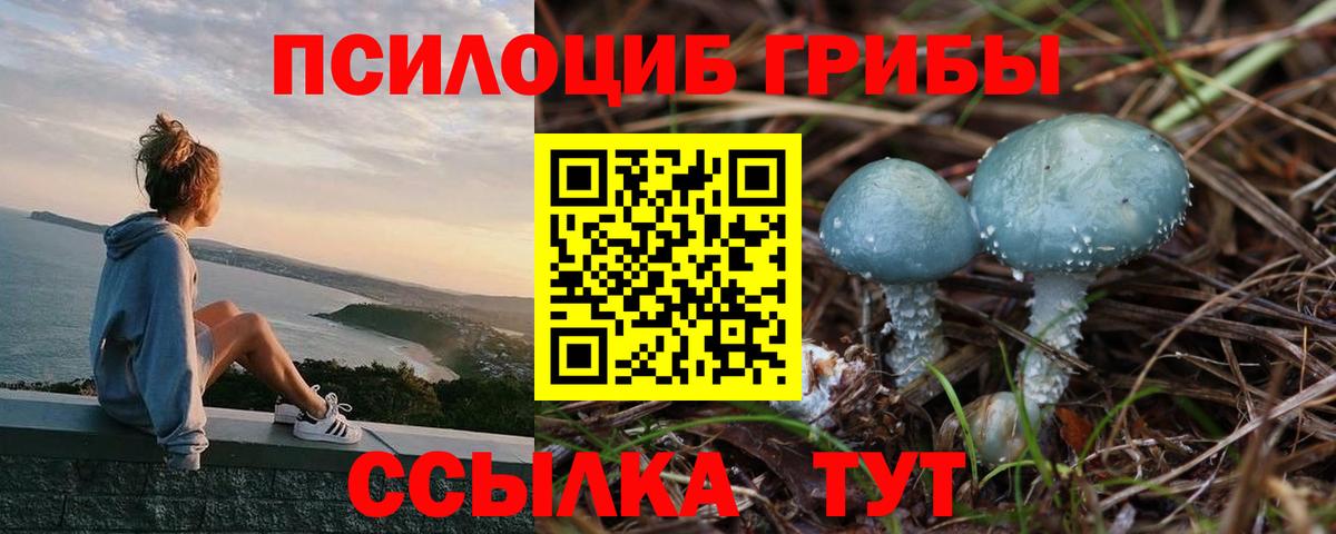 Псилоцибиновые грибы мухоморы  цены наркотик  Нягань  Вход с VPN 