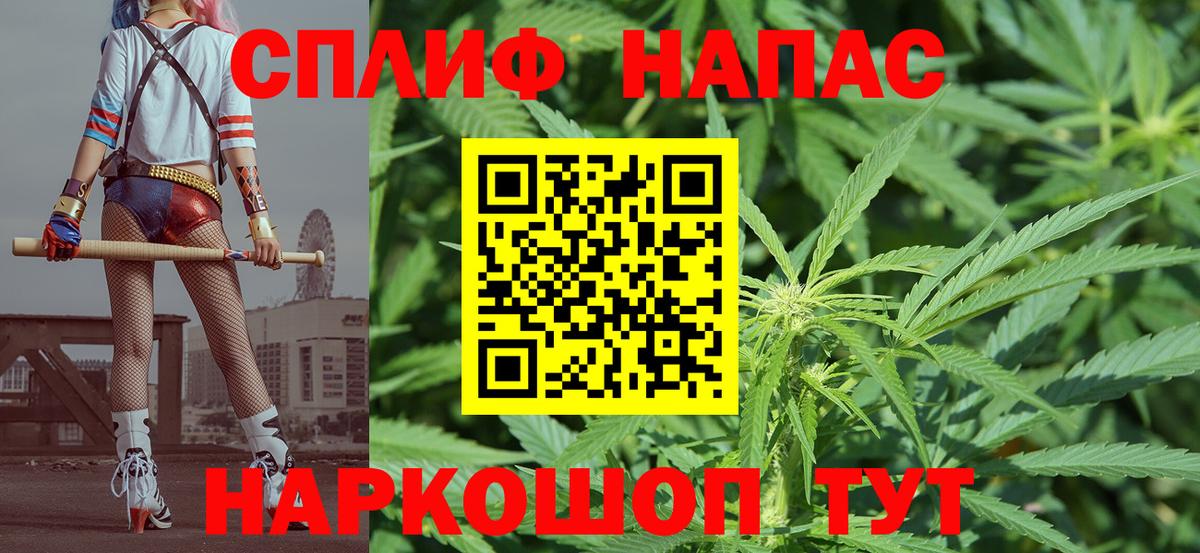 Канабис планчик Нягань